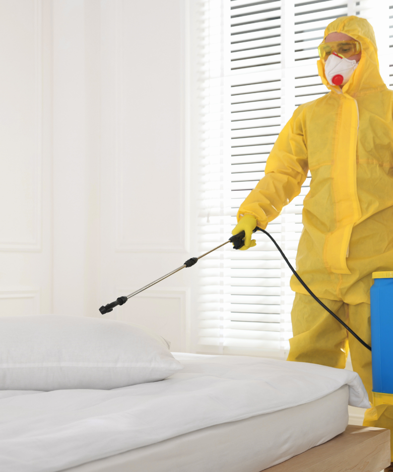 Professional Pest Control Team in Burnside